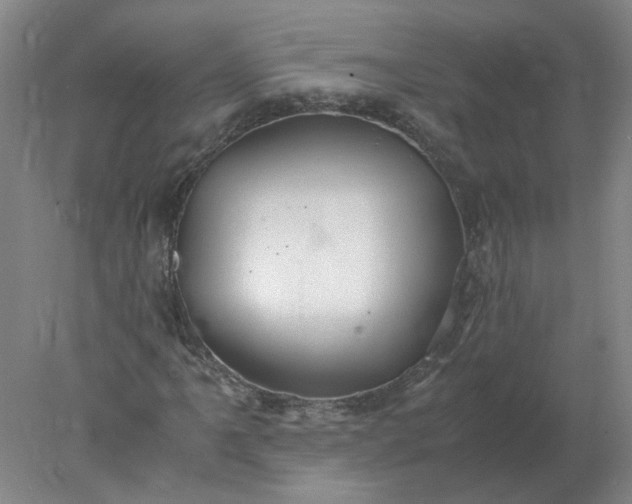 X0000078001061200611101748