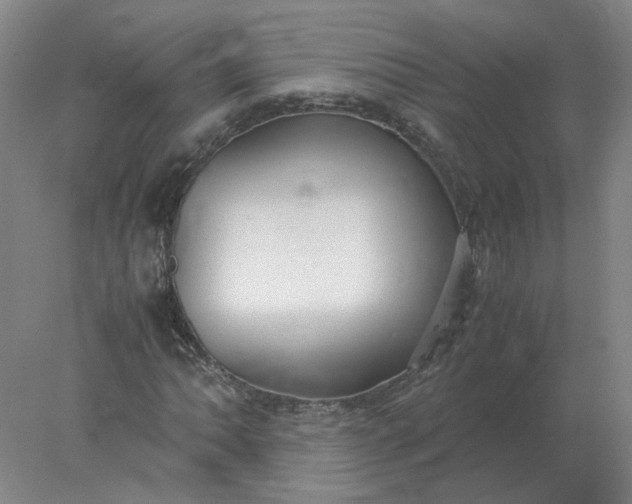 X0000078001062200611101748