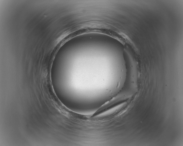 X0000078001065200611101748