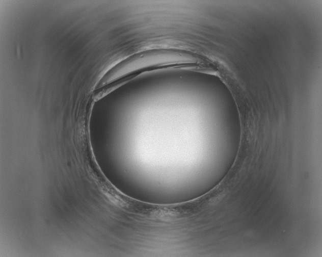X0000078001073200611101748