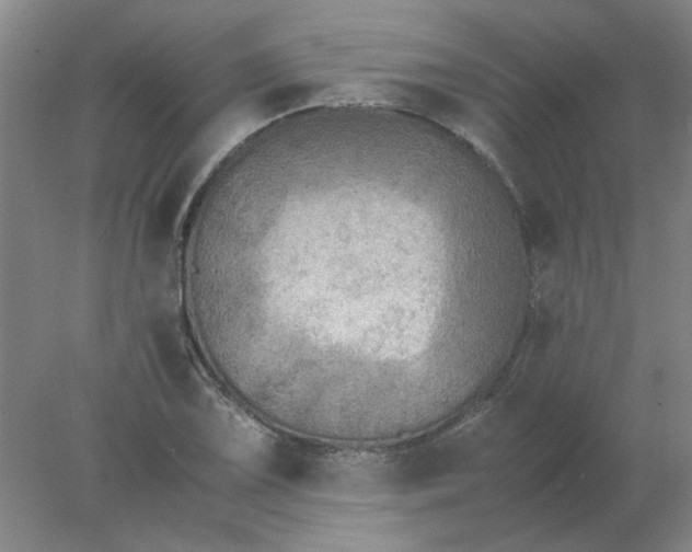X0000078001075200611101748