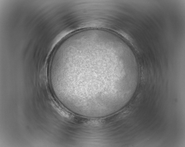X0000078001078200611101748