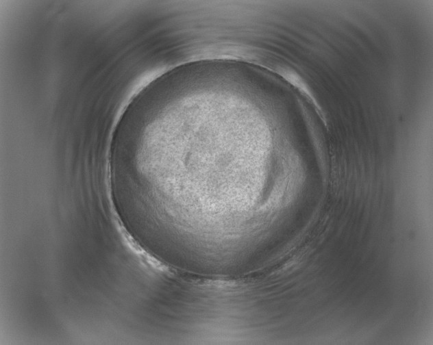 X0000078001088200611101748