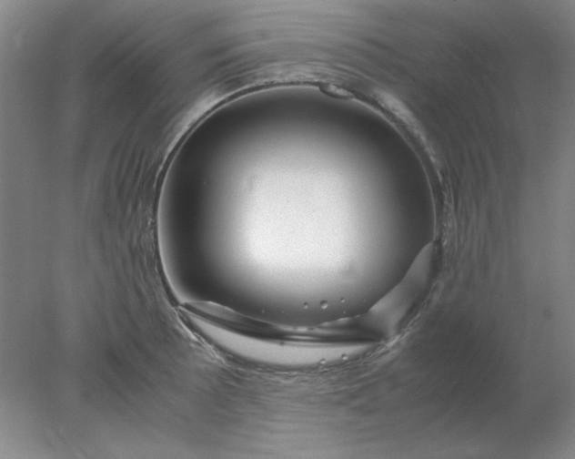 X0000078001089200611101748
