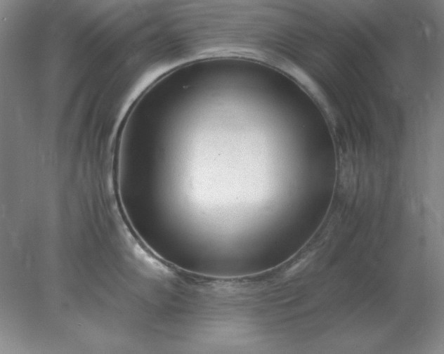 X0000078001102200611101748