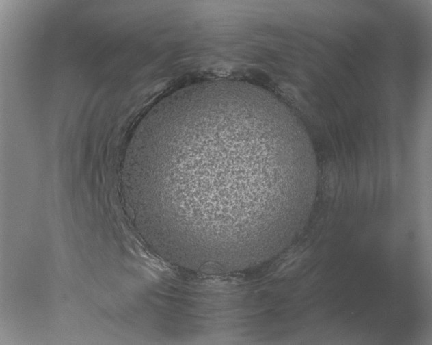 X0000078001105200611101747