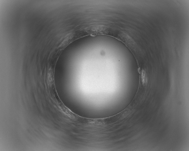 X0000078001107200611101747