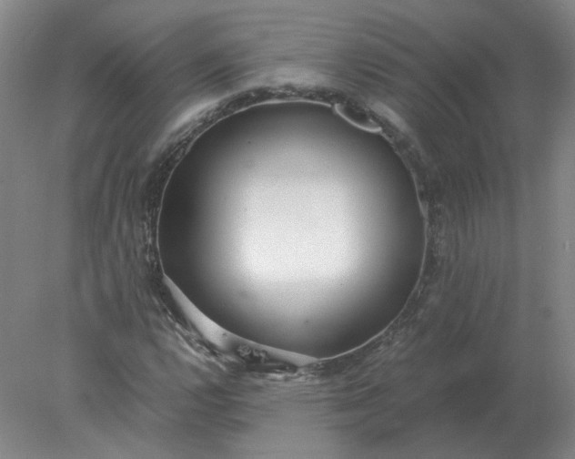X0000078001112200611101747