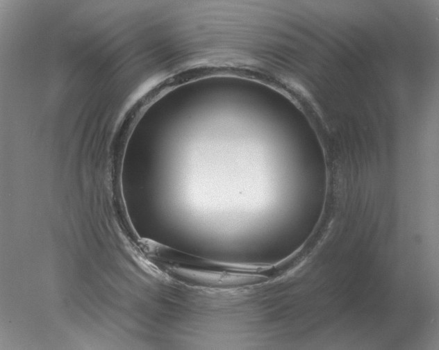 X0000078001114200611101747