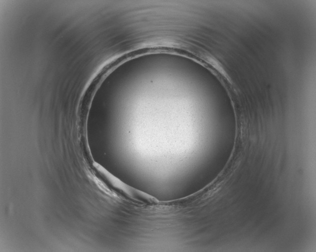 X0000078001116200611101747