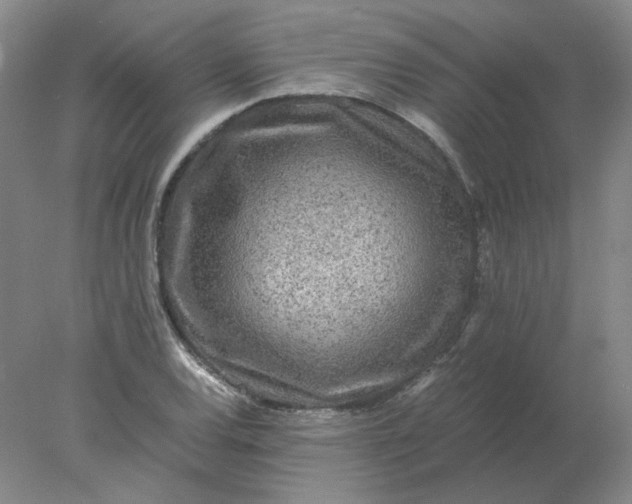 X0000078001120200611101747