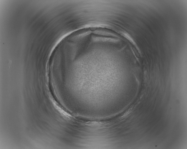 X0000078001124200611101747