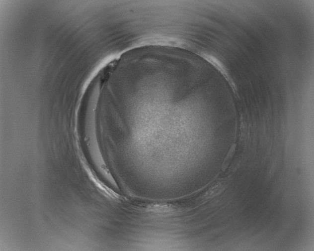 X0000078001128200611101747