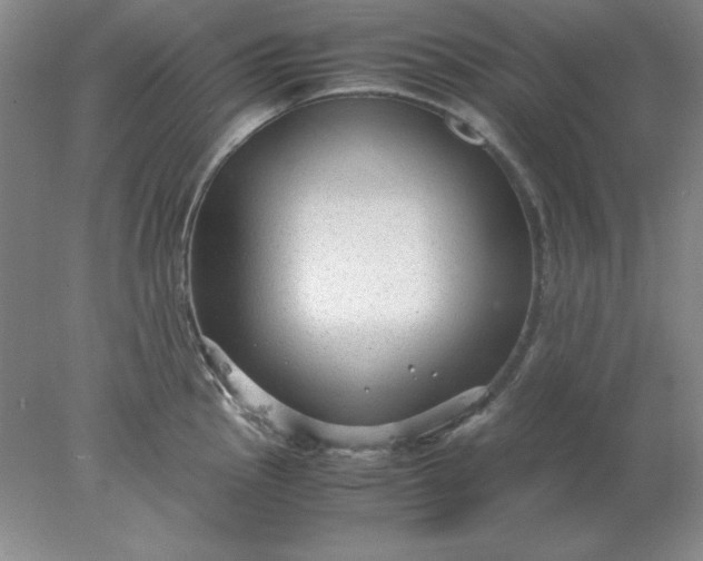 X0000078001145200611101747