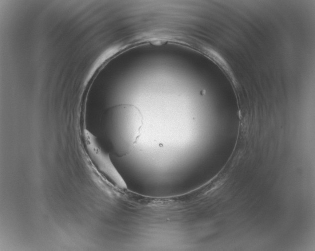 X0000078001146200611101747