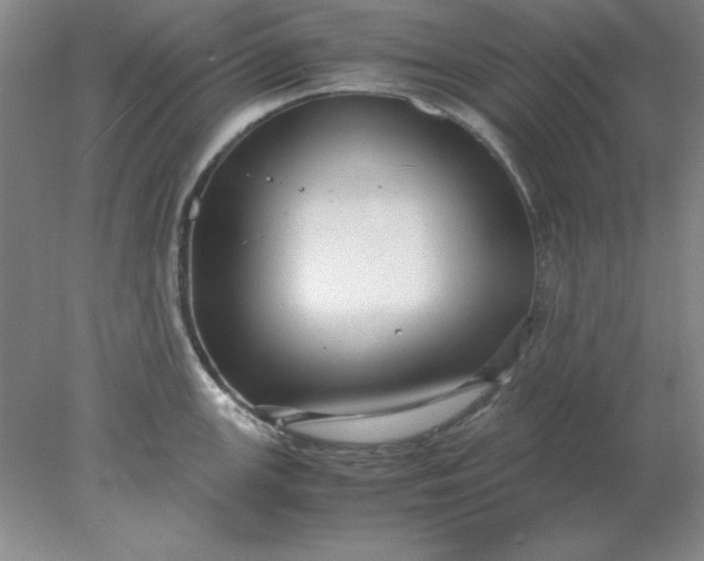 X0000078001147200611101747