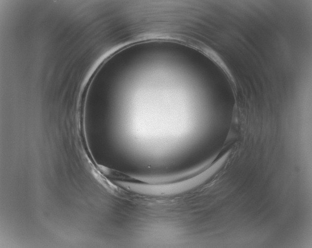 X0000078001148200611101747
