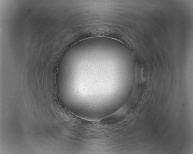 X0000078001153200611101747