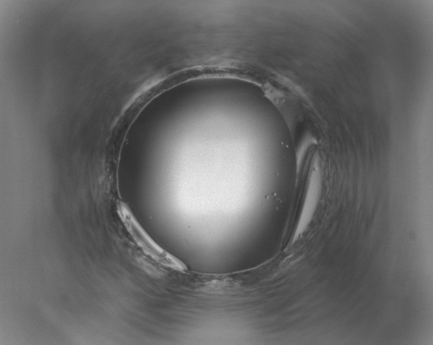 X0000078001160200611101747