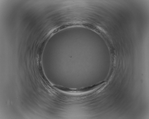 X0000078001161200611101747