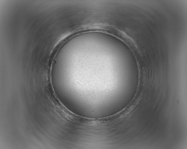 X0000078001166200611101746