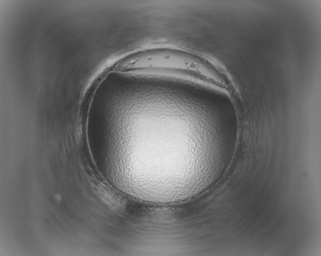 X0000078001167200611101746