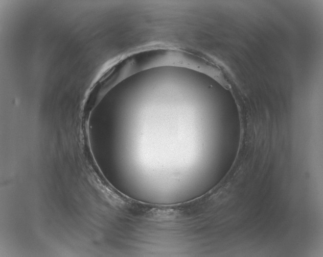 X0000078001168200611101746
