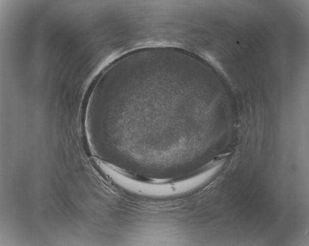 X0000078001173200611101746