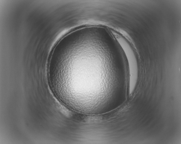X0000078001183200611101746