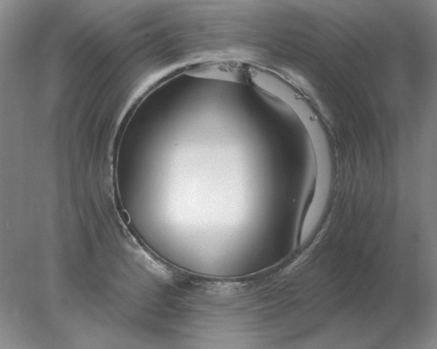 X0000078001184200611101746