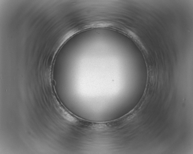 X0000078001186200611101746