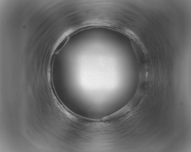 X0000078001188200611101746