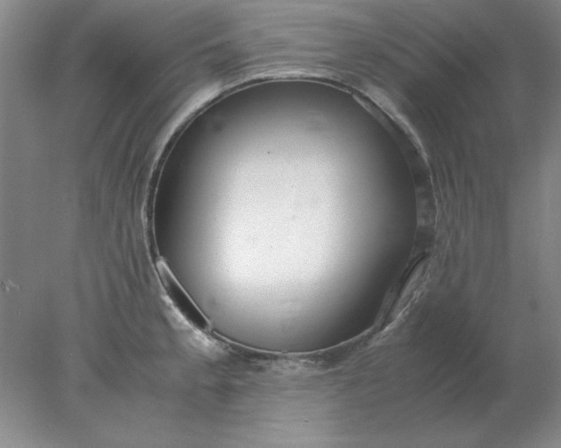 X0000078001189200611101746