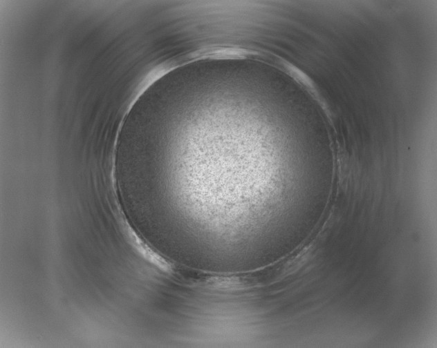 X0000078001194200611101746