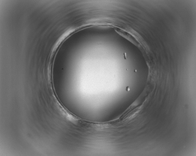 X0000078001196200611101746