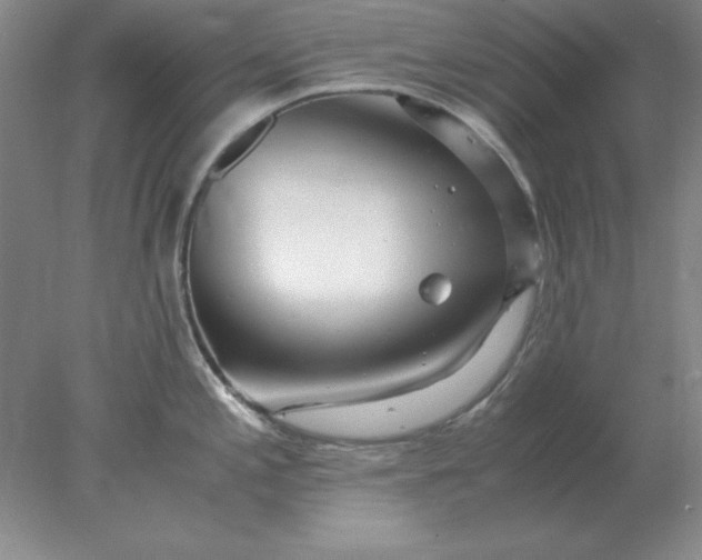 X0000078001197200611101746
