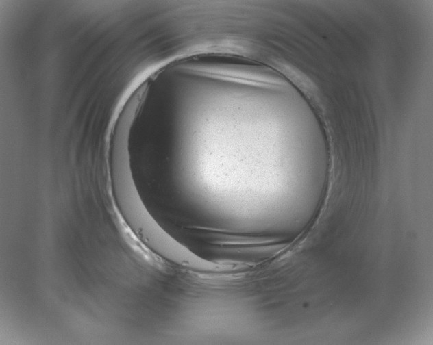 X0000078001200200611101746