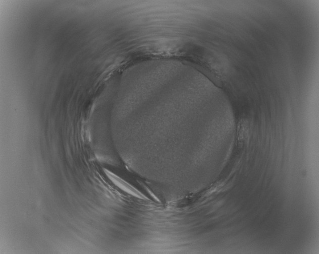 X0000078001202200611101745