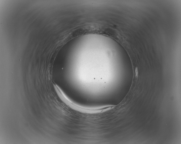 X0000078001203200611101745
