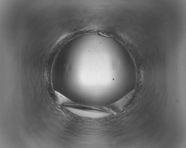 X0000078001206200611101745