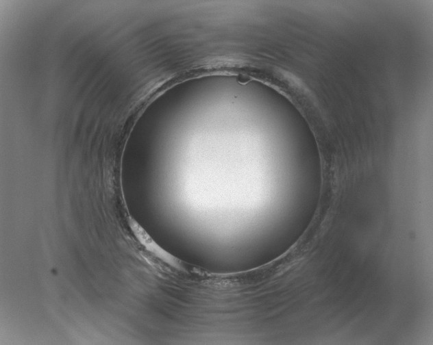 X0000078001217200611101745