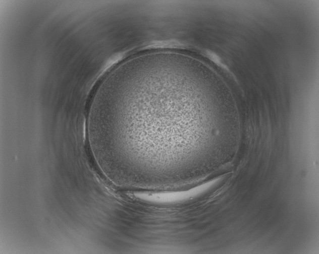 X0000078001221200611101745