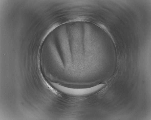 X0000078001235200611101746
