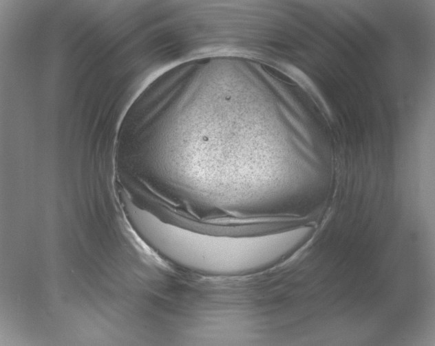 X0000078001244200611101746
