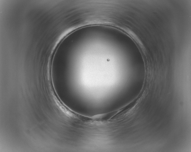 X0000078001246200611101746
