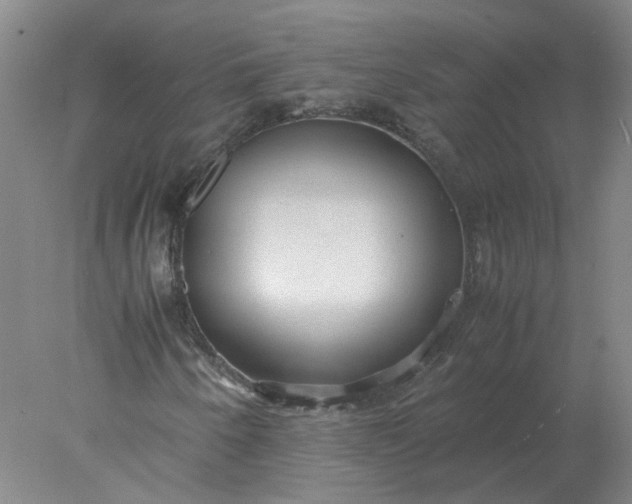X0000078001250200611101745