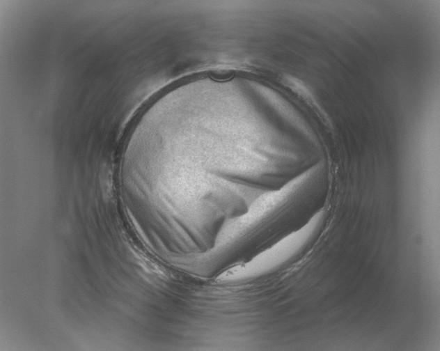 X0000078001260200611101745