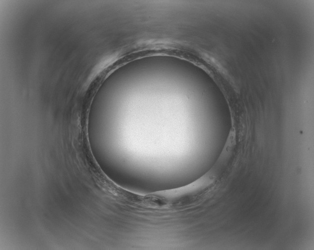 X0000078001261200611101745
