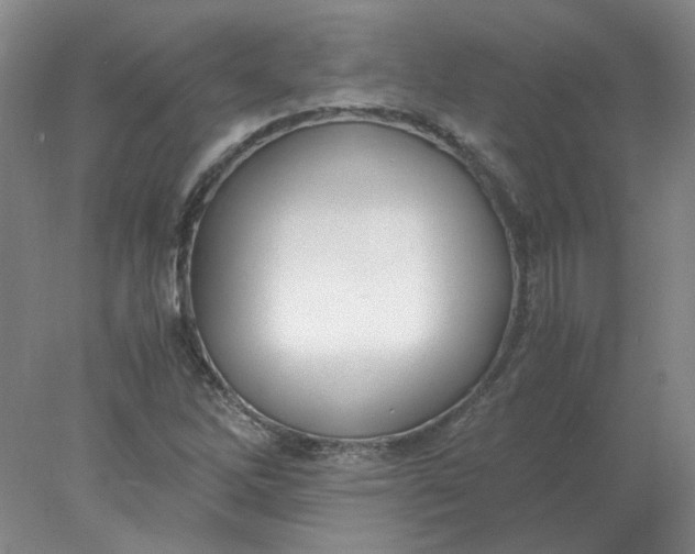 X0000078001262200611101745