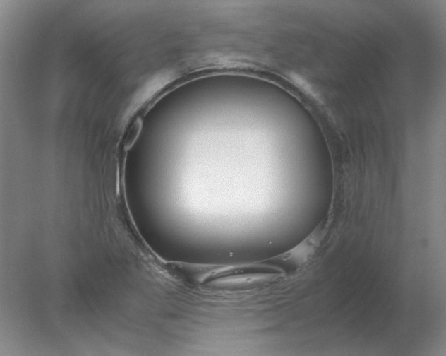 X0000078001269200611101745